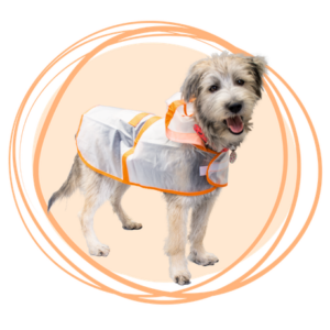 Capa Impermeable Transparente con Bordes Naranja para Perros