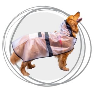 Capa Impermeable Transparente con Bordes Negros para Perros