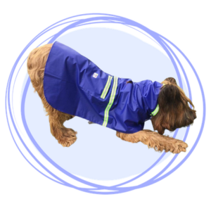 Capa Impermeable reflectiva de color azul para Perros