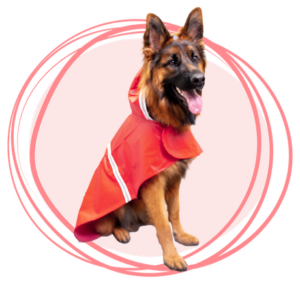 Capa Impermeable reflectiva roja para Perros