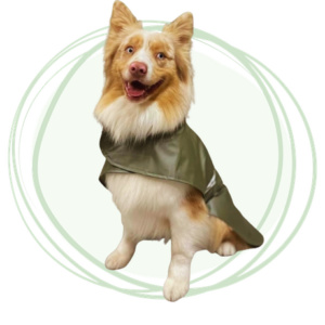 Capa Impermeable reflectiva de color verde para Perros