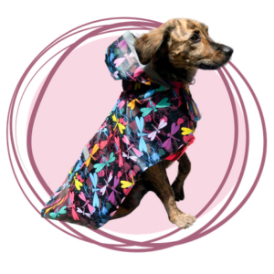 impermeable estampado de libélulas para perros