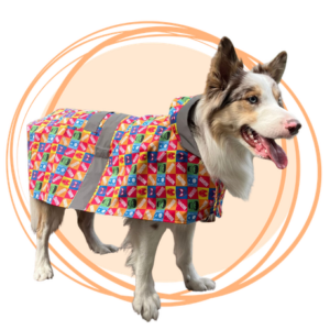 impermeable estampado de súper héroes para perros
