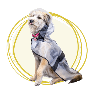 Categoría Días de lluvia