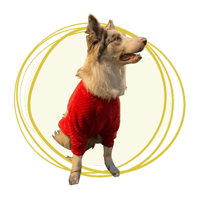 Categoría Días de frío