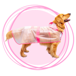 Capa Impermeable Transparente con Bordes Rosados para Perros
