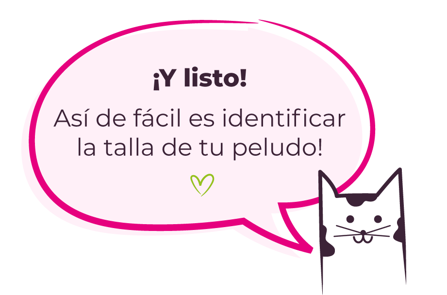 Así de fácil es identificar la talla de tu peludo!