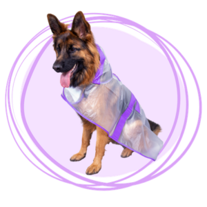 capa impermeable transparente morada para perros