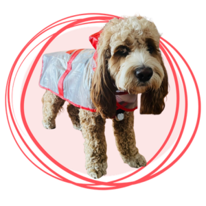 capa impermeable transparente roja para perros