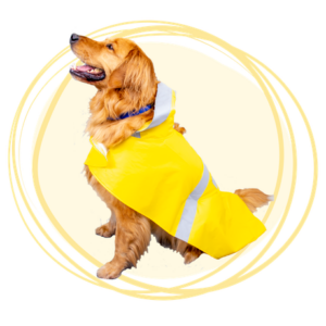capa impermeable reflectiva amarilla para perros