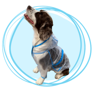 impermeable transparente azul para perros
