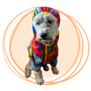 chaqueta impermeable lego para perros
