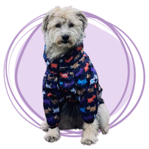 chaqueta impermeable westy para perros