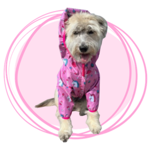 Perro modelo usando chaqueta impermeable estampada con unicornios de dos patas.