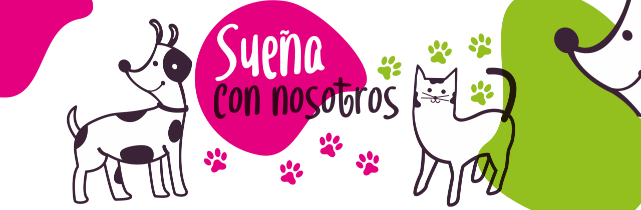 suenaconnosotrosbanner1_Mesa de trabajo 1_Mesa de trabajo 1